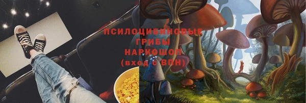 шишки Абинск