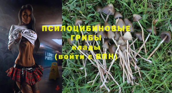 apvp Абаза