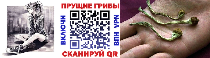 Псилоцибиновые грибы прущие грибы Нариманов